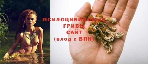 сатива Баксан