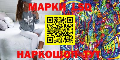 гидропоника Шебекино