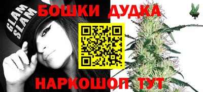 гидропоника Шебекино