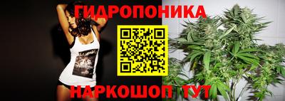 меф Шелехов