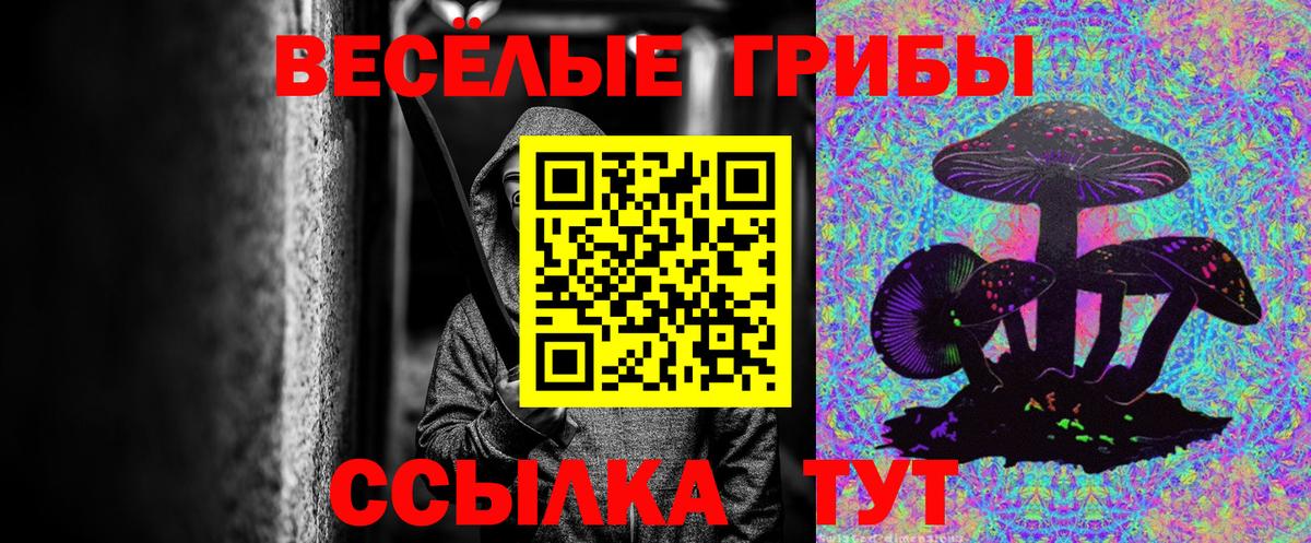 Черняховск  Галлюциногенные грибы мицелий  закладка  Вход с VPN 