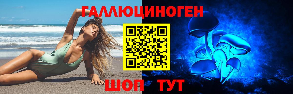 Псилоцибиновые грибы мицелий Черняховск